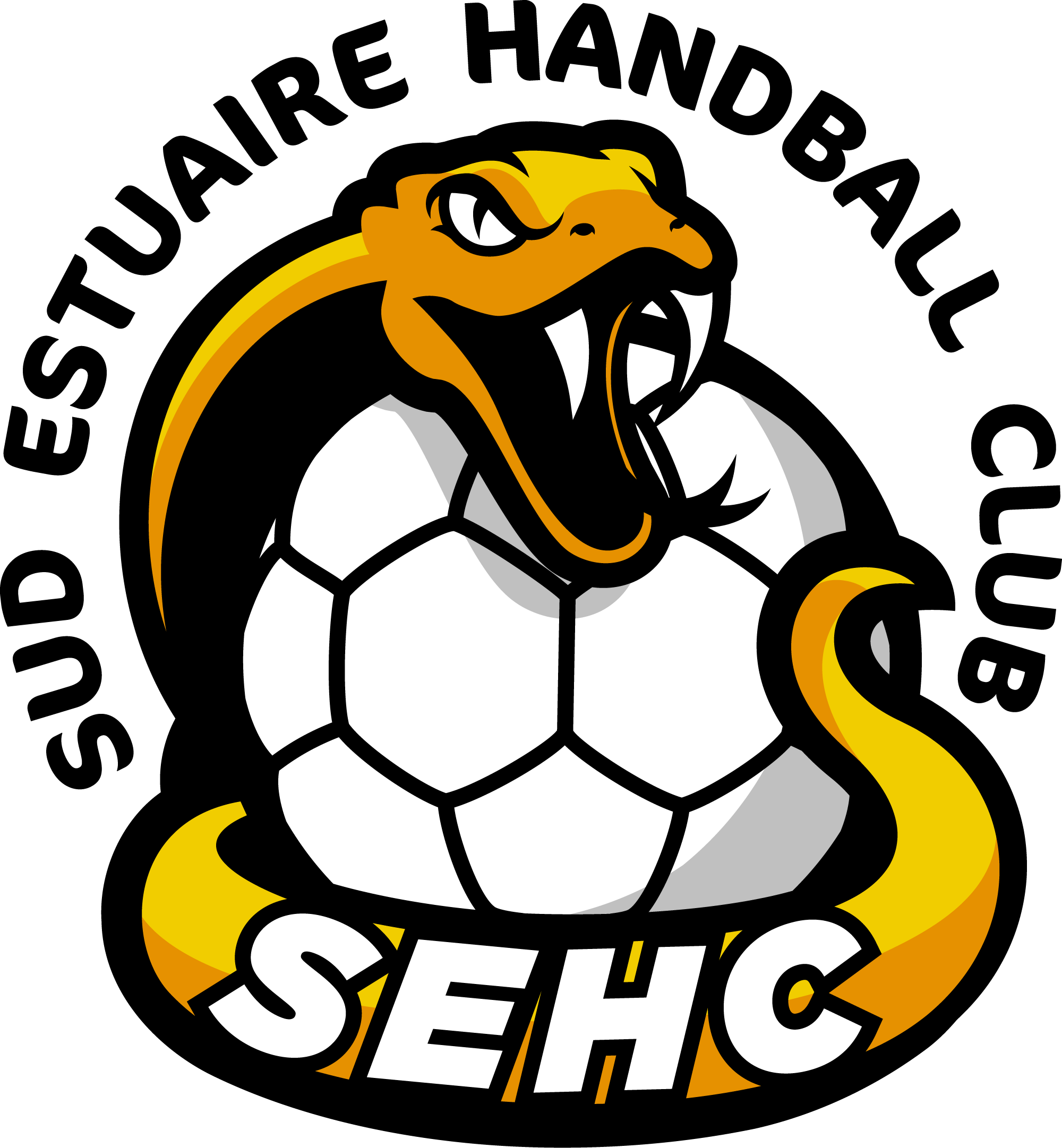Sud Estuaire Handball Club